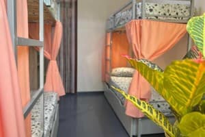 Хостел Amely. Место в мужском 10-местном номере  3